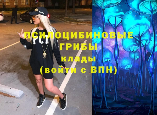 мдма Бородино