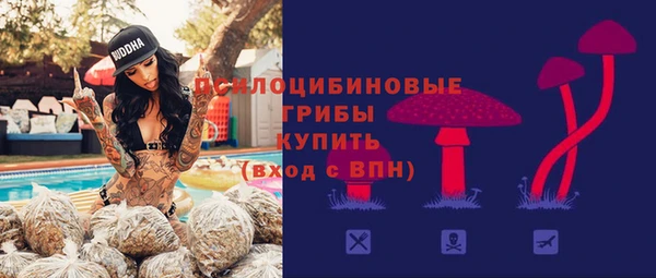 мдма Бородино